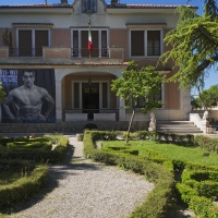 Gallery 5